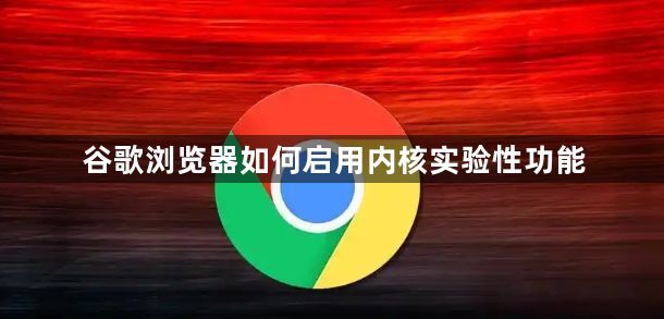 谷歌浏览器如何启用内核实验性功能1