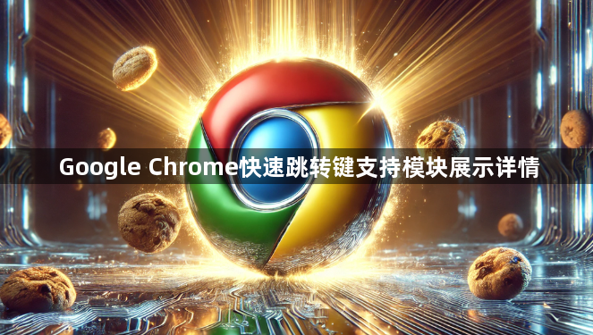 Google Chrome快速跳转键支持模块展示详情1