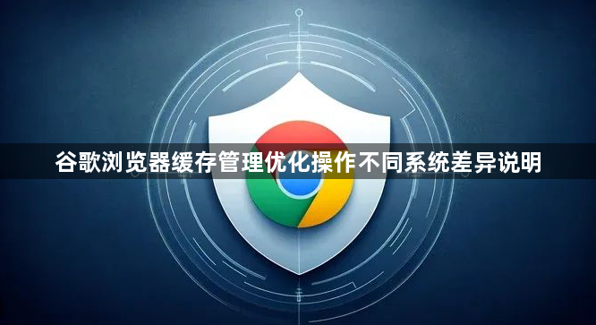 谷歌浏览器缓存管理优化操作不同系统差异说明1