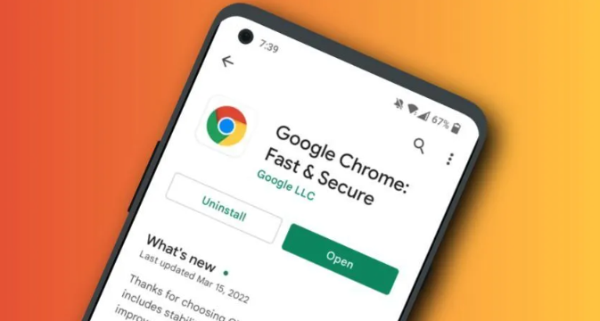 Google Chrome下载安装包安全性检测技巧