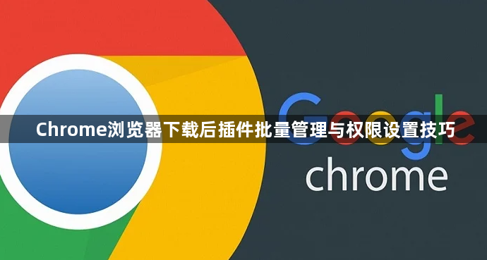 Chrome浏览器下载后插件批量管理与权限设置技巧1