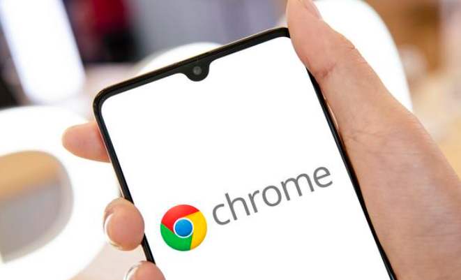 google Chrome浏览器官方包安卓便携版功能体验
