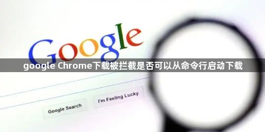 google Chrome下载被拦截是否可以从命令行启动下载1