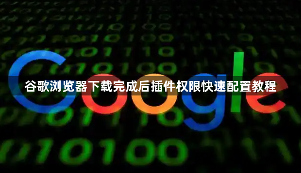 谷歌浏览器下载完成后插件权限快速配置教程1