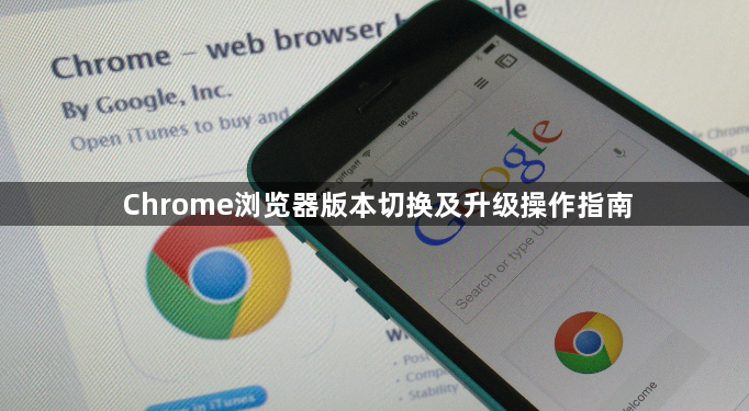 Chrome浏览器版本切换及升级操作指南1