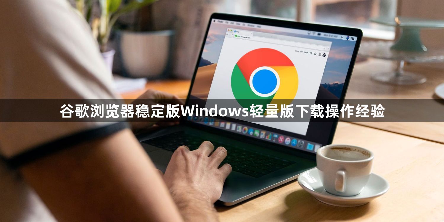 谷歌浏览器稳定版Windows轻量版下载操作经验1