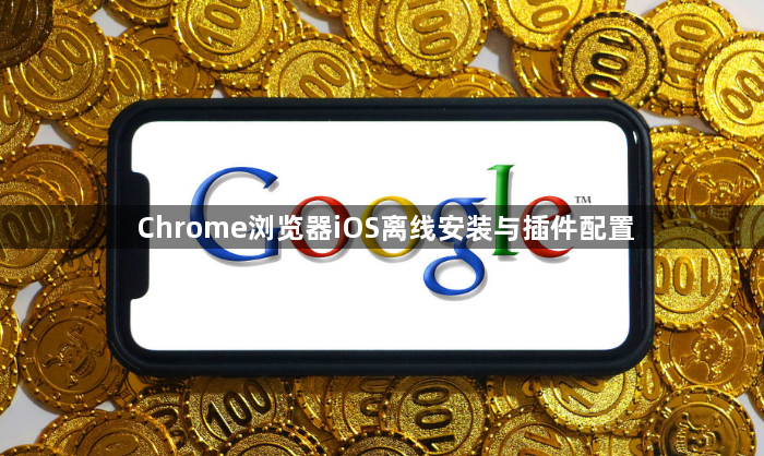 Chrome浏览器iOS离线安装与插件配置1