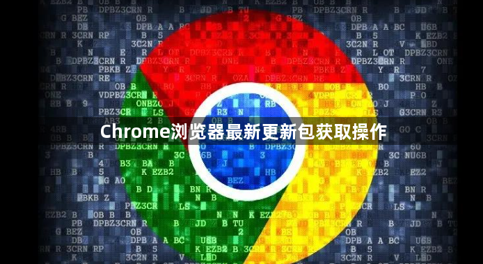 Chrome浏览器最新更新包获取操作1
