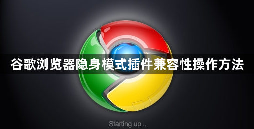 谷歌浏览器隐身模式插件兼容性操作方法1