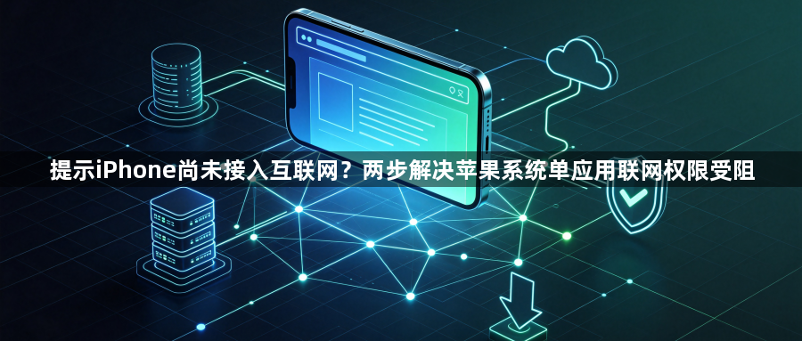 提示iPhone尚未接入互联网？两步解决苹果系统单应用联网权限受阻1